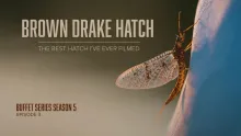 Video thumb for Brown Drake Hatch