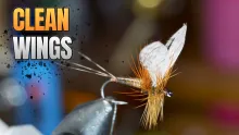 Video thumb for Wally Wing Mayfly