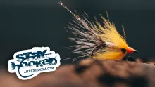 Video thumb for Orange Peel