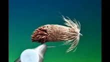 Video thumb for Caddis Grandiose