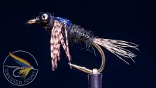 Video thumb for Simple Mayfly Nymph