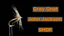 Video thumb for Grey Gnat