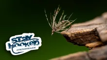Video thumb for Gold Ribbed Hares Ear Soft Hackle
