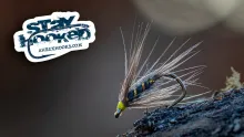 Video thumb for Blue Dun Hackle