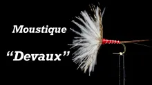 Video thumb for Moustique "Devaux"