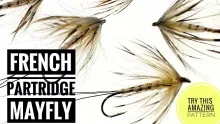 Video thumb for French Partridge Mayfly