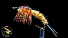 Video thumb for Remnant Fly #48 - Generic Nymph
