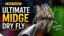 Video thumb for Griffith's Gnat 
