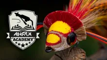 Video thumb for Ahrex Academy - Select, Tie In, Trim and Cut Deerhair