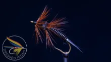 Video thumb for Soft Hackle Salmon Fly Nymph