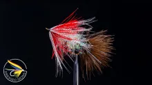 Video thumb for Remnant Fly #44 - Soft Hackle Streamer