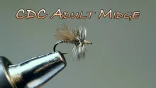 Video thumb for CDC Adult Midge