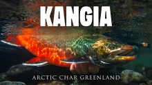 Video thumb for Kangia River