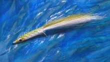 Video thumb for EZ Body Sand Eel
