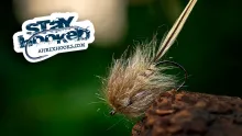 Video thumb for KK Fly