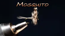 Video thumb for Mosquito