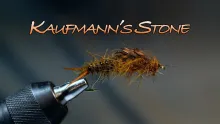 Video thumb for Kaufmann's Stonefly