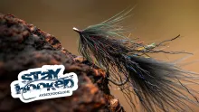 Video thumb for Black Leggy Leech Universal