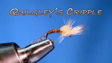 Video thumb for Quigley Cripple
