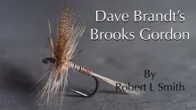 Video thumb for Dave Brandt's Brooks Gordon