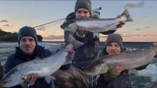 Video thumb for Gotland Sea Trout Fishing | An Autumn & Winter Saga