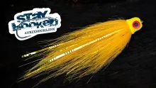 Video thumb for Tony Sandrones’ Big Byrd