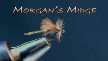 Video thumb for Morgan's Midge