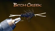 Video thumb for Bitch Creek