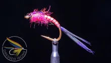 Video thumb for Steelhead Nymph