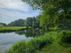 A chalkstream