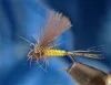 User submitted picture: The dry fly "Cul de Cana...