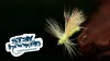 Video thumb for Little Yellow Stonefly