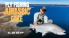 Video thumb for The Biggest Rainbow Trout of My Life