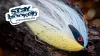 Video thumb for Pastel Hollow Baitfish