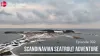 Video thumb for Scandinavian Seatrout Adventure