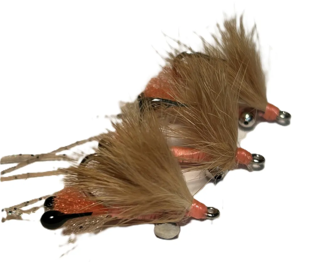 Peterson’s Spawning Shrimp