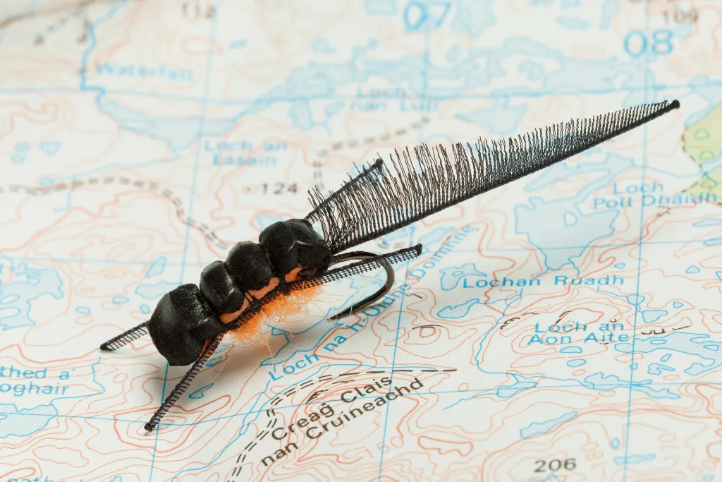 Newkt fishing fly on a map