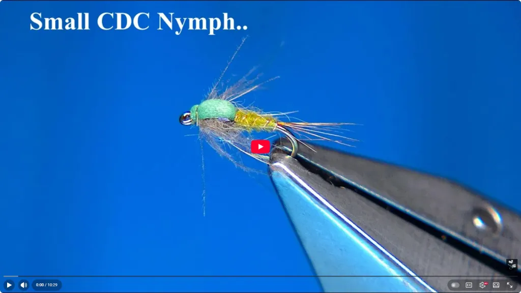 Waste Nymph fishing fly