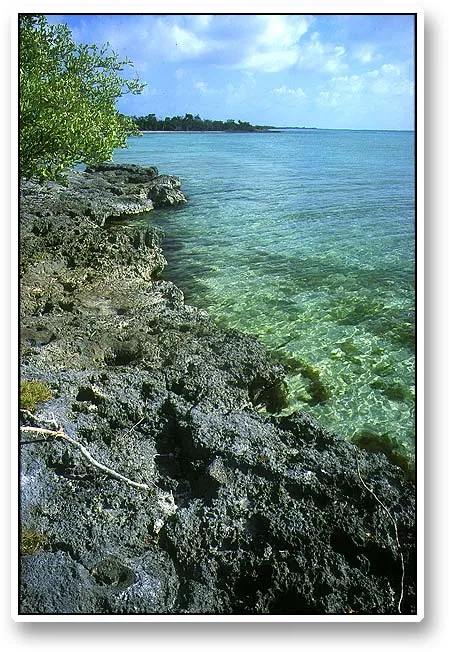 Rocky coast - Not all the coast is sand or flats. The water in front of this rocky part held many smaller fish, mainly snappers. The rocks were, by the way, extremely sharp and not to be fooled with.