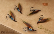 The fly Völli The fly Völli