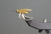 Hopper Hopper