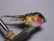 Golden/black Malbran Golden/black Malbran