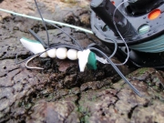 Huge popper Huge popper