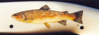 Brown trout Brown trout