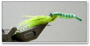 29 Craw Fly 29 Craw Fly