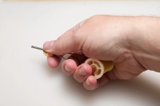 Semperfli Disc in the hand Semperfli Disc in the hand