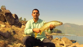 Mahseer Mahseer