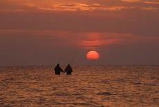 Zooming in Zooming in