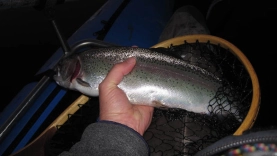 Late evening Late evening