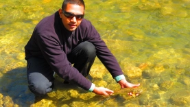 Not trophies Not trophies